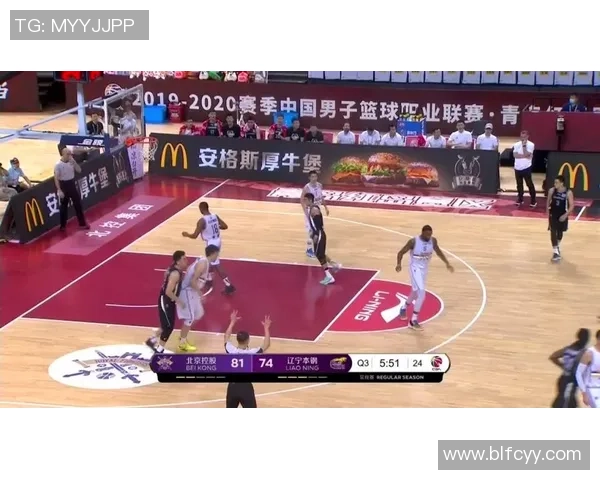 南京羽毛球队进攻革新之路探索与实践分析