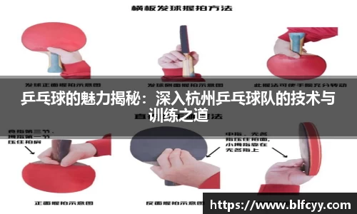 乒乓球的魅力揭秘：深入杭州乒乓球队的技术与训练之道