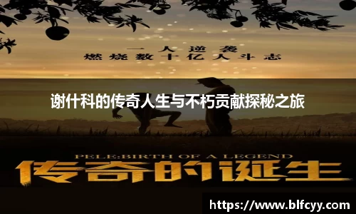 zoty中欧
