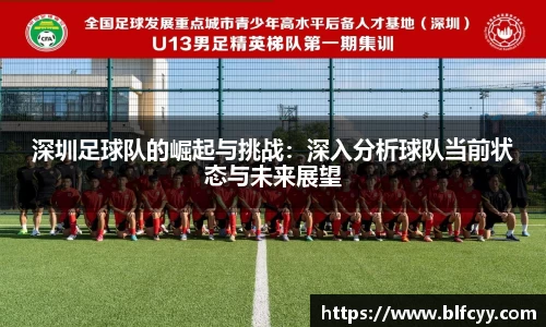 深圳足球队的崛起与挑战：深入分析球队当前状态与未来展望